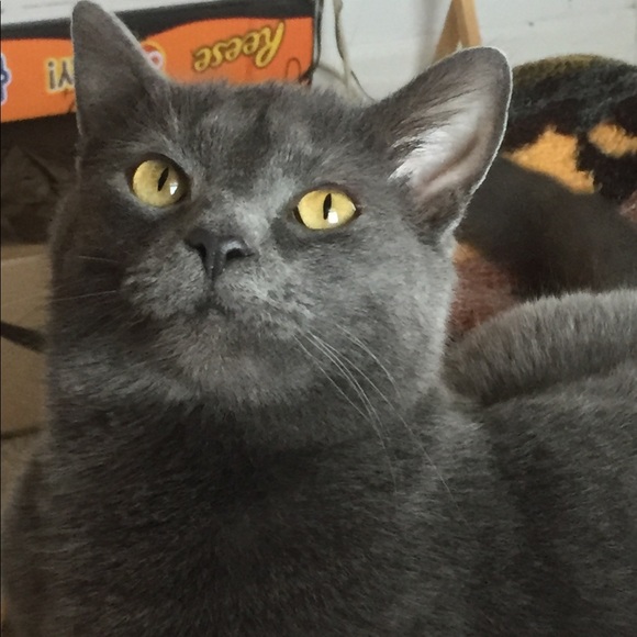 Meet your Posher, Louise - Picture 6 of 9